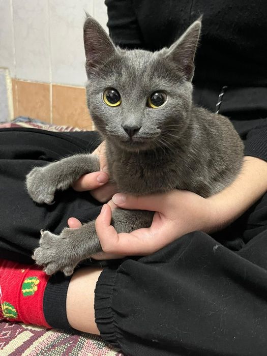 Мальчики подростки