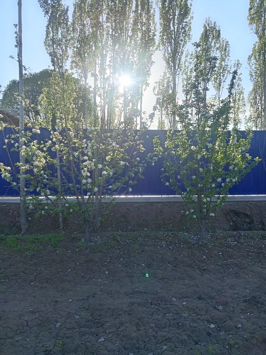 Жай сатылады усындай багы бар актерек лер бар