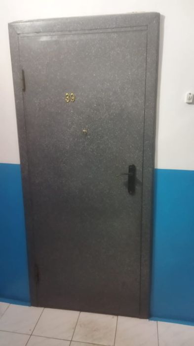 Входная железный дверь