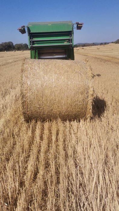 Предлагам бали сено,слама и люцерна