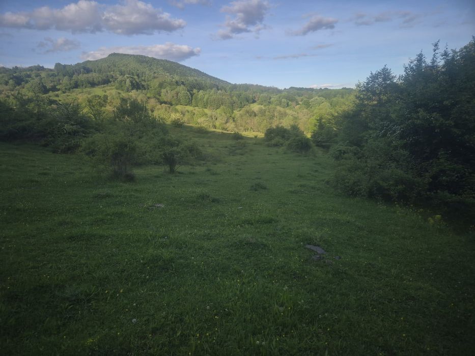 Teren de vânzare  stoenești, vâlcea