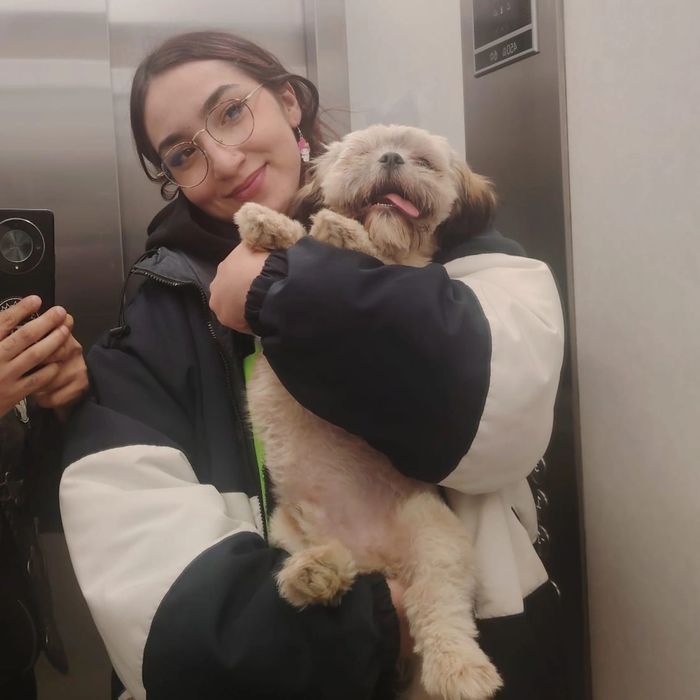 Ofer meditatii la limba engleza clasele 1-4 5-8