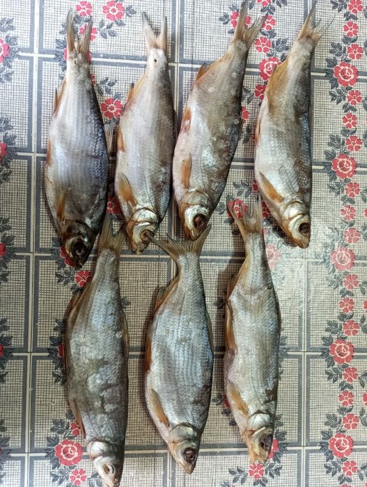 Сушеные Ребец майлы