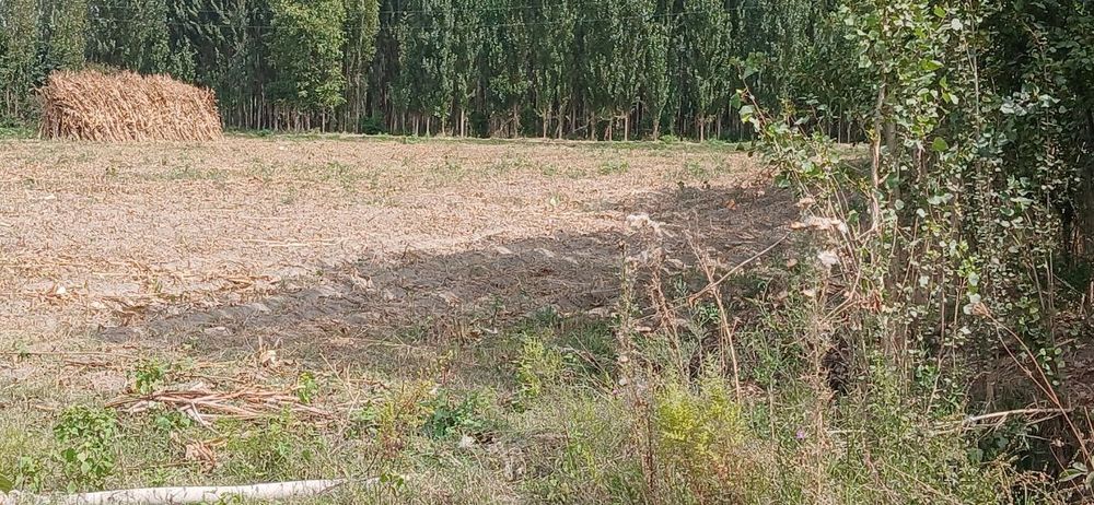 1gektar yer sotiladi