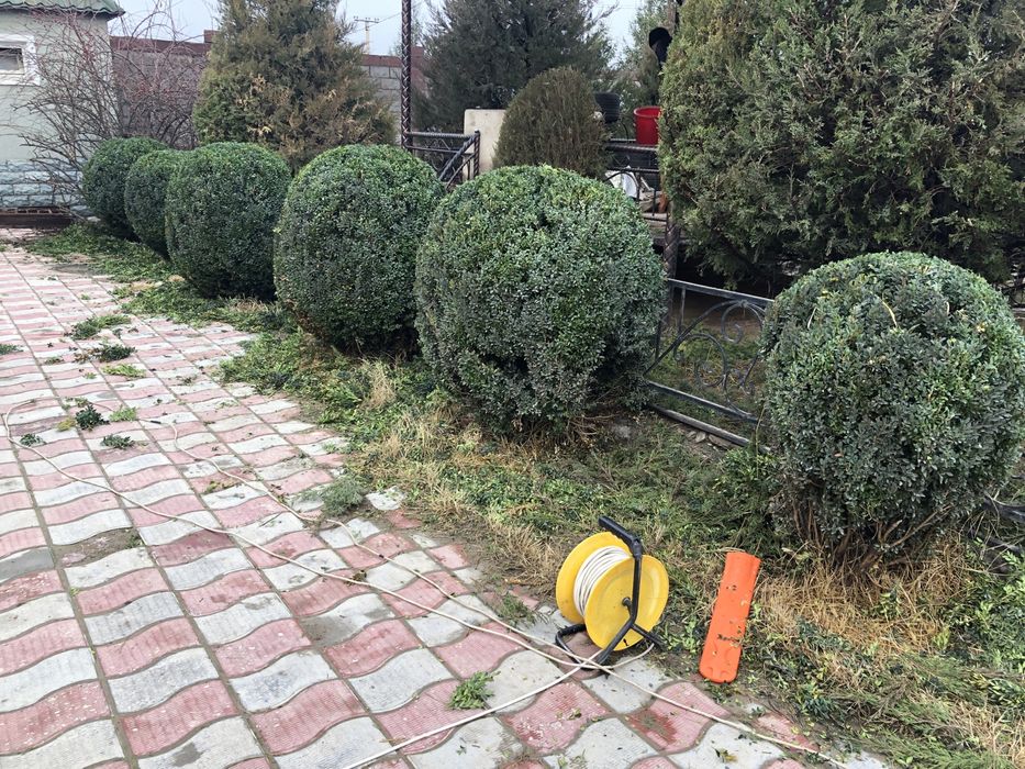 Садовник на дома