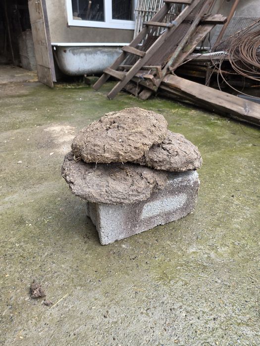 Тезек, таппи, отын, шырпы