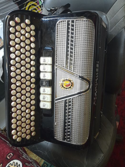 Acordeon harmonica