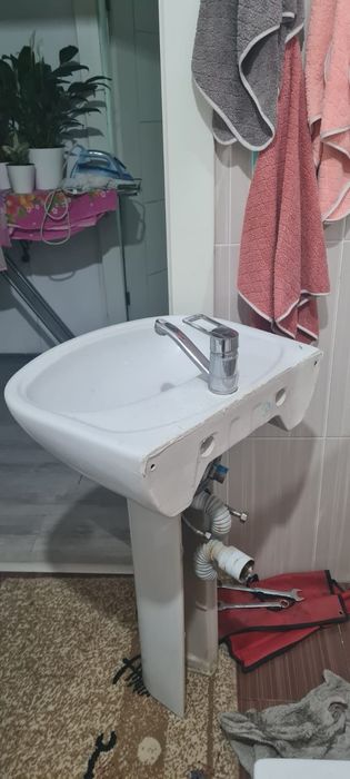 Раковина -тюльпан