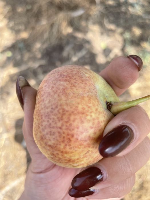 Продам участок земли