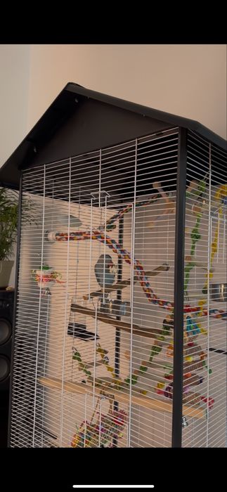 Vânzare Micul Alexandru