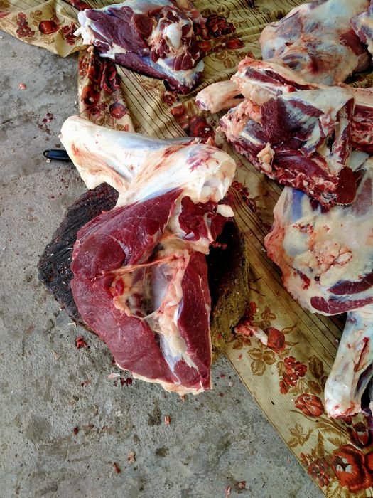 Әуесқойлық жетілген лесбиянки порно