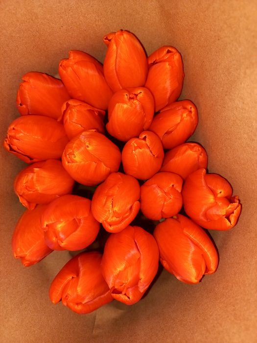 Тюльпаны оптом Алматы