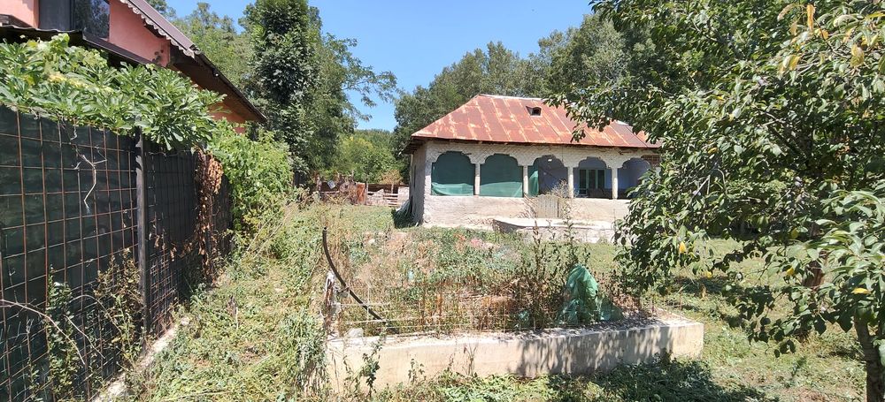 Casa Bătrânească cu teren 1600m2