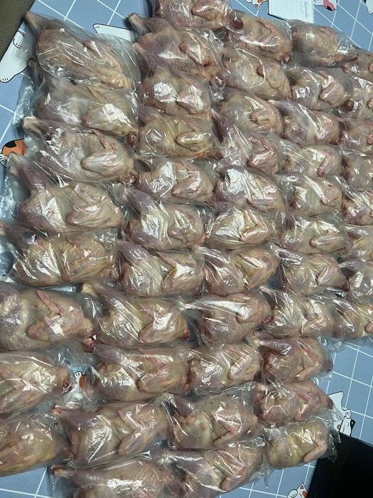 Продам мясо перепелов