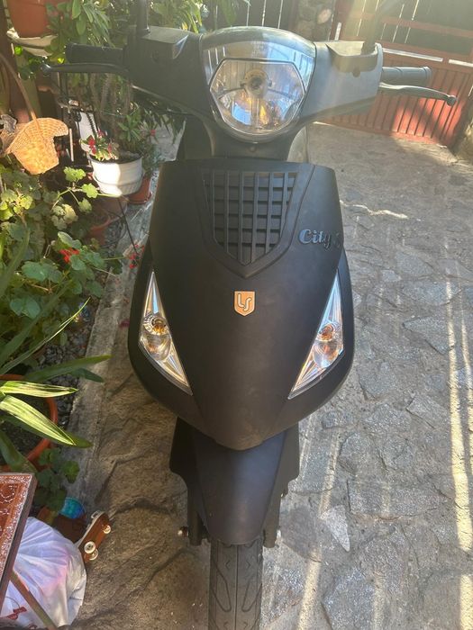Suter 50cc LaSouris