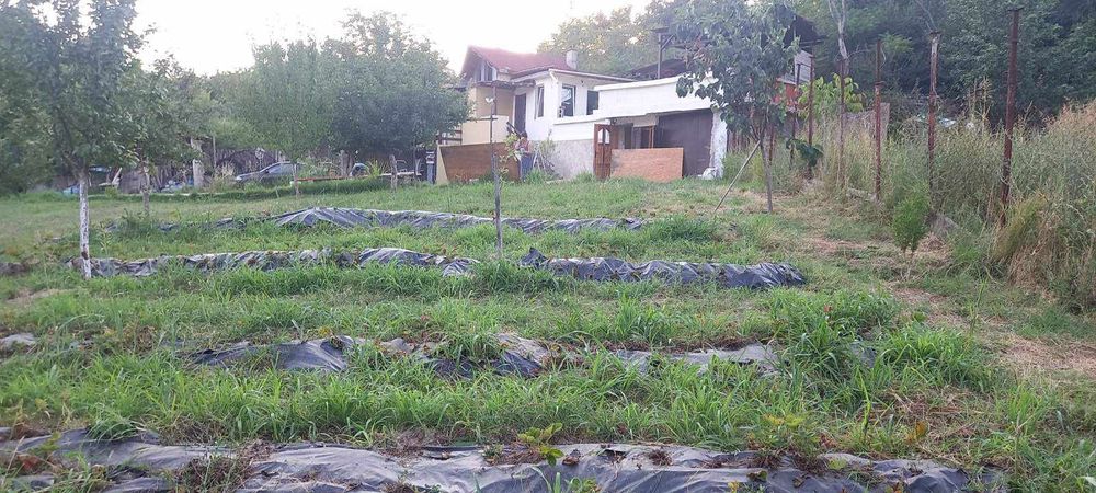 Продава се Парцел в Благоевград, Еленово 1 - 1000 кв.м за 82 €/кв.м - Снимка #8