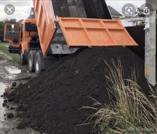 Чернозем плодородный