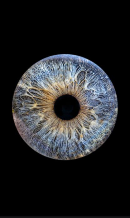 Фото радужки глаз