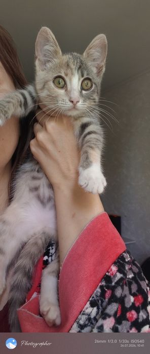 Девочка котенок Мия