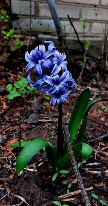 Продам дачу 7.5 соток район телецентра