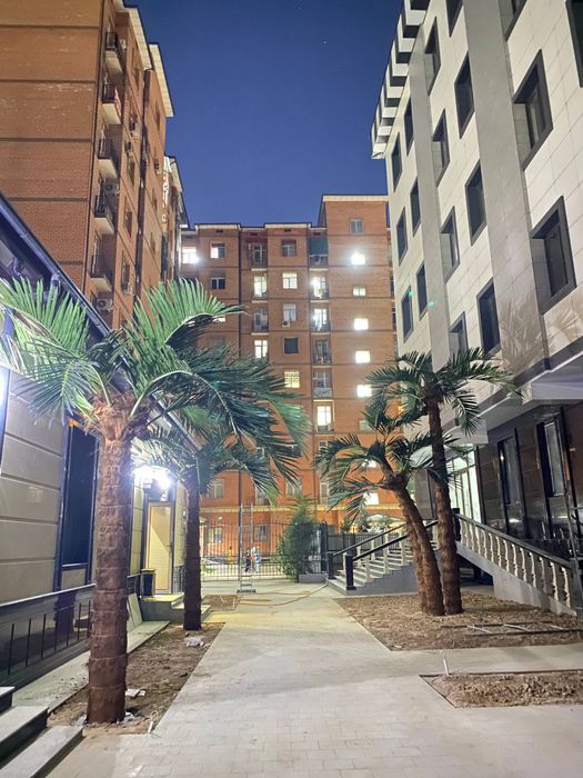 Toshkent | Issiq joyga mos lux suniy palma 3m–8m — 2 yil kafolat!