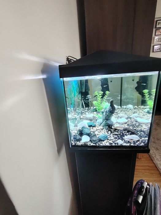 Vând  acvariu complet