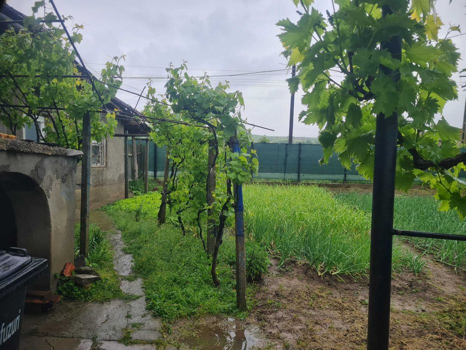 Casa in Oltina Constanța