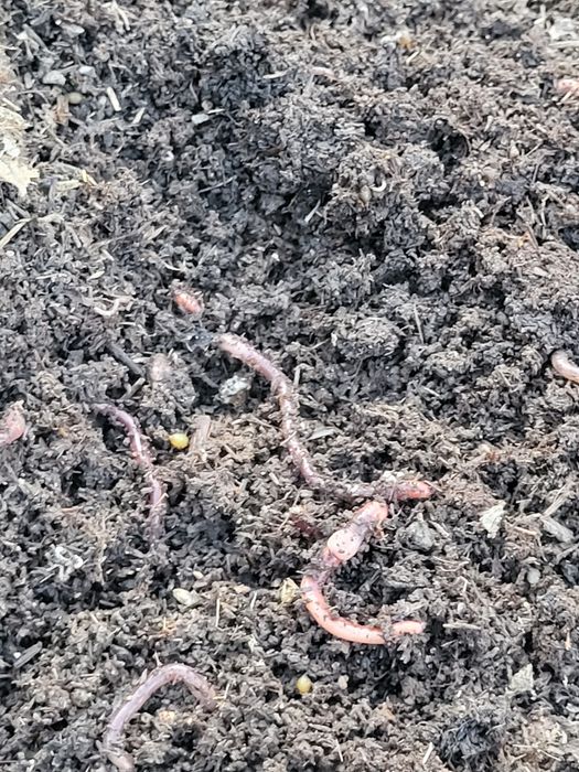 Все для огорода и сада,рыбалки