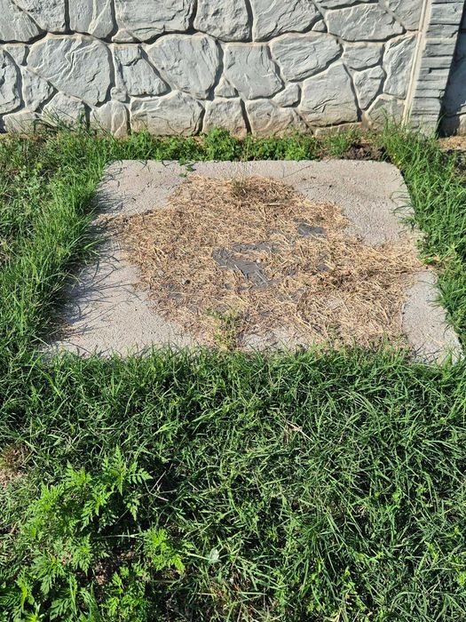 Vind Teren Stefanesti, comuna Ileana, Calarasi