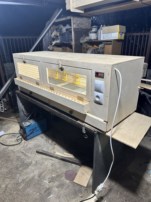 Брудеры для выращивания цыплят