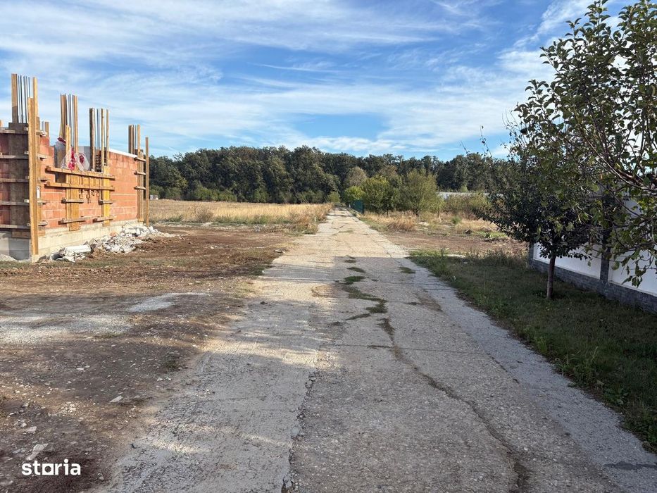 Casă de vânzare cu 6 camere și mansardă teren 2500mp Padure Cernica