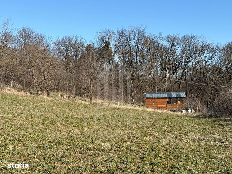 Teren intravilan de vânzare - Ocna Sibiului