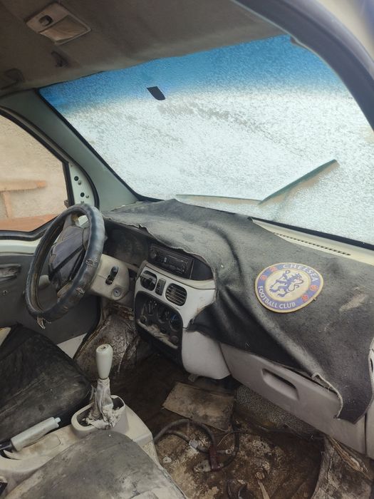 Hafee этой дамас