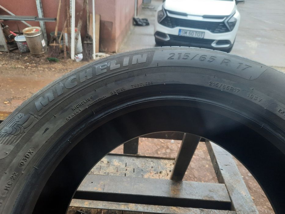 Anvelope de vara Michelin