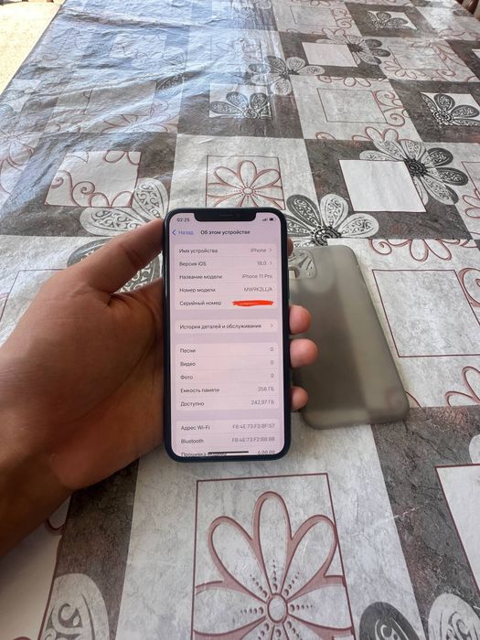 Iphone 11 pro (256 gb)