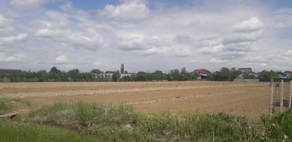 -Ocazie investitie imobiliara Buzau- Teren intravilan 1.14 ha, deschidere 81.5 m