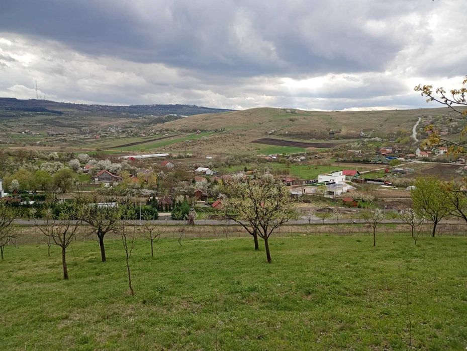 Teren intravilan Sopor