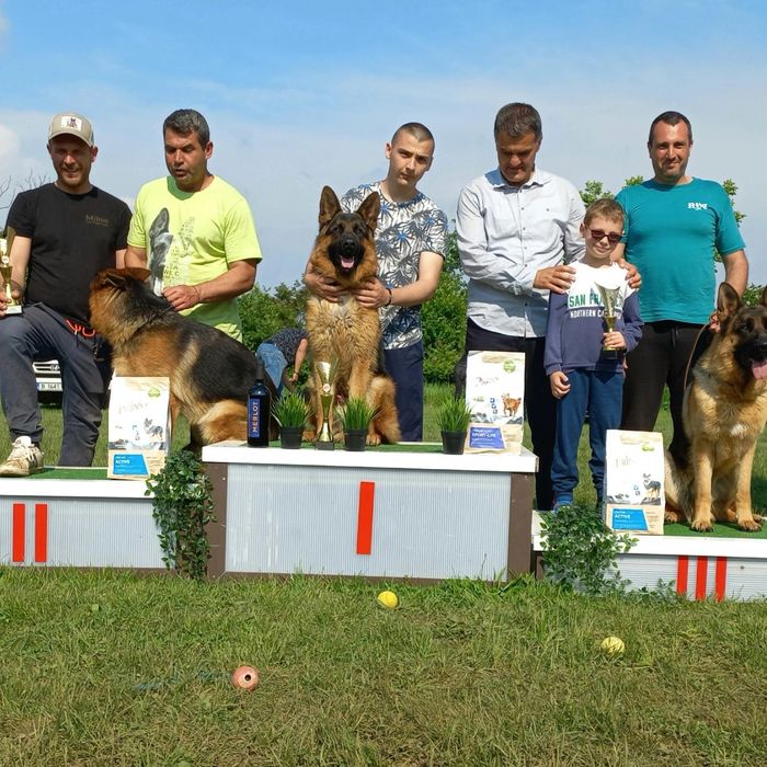 Елитни Немски овчарки