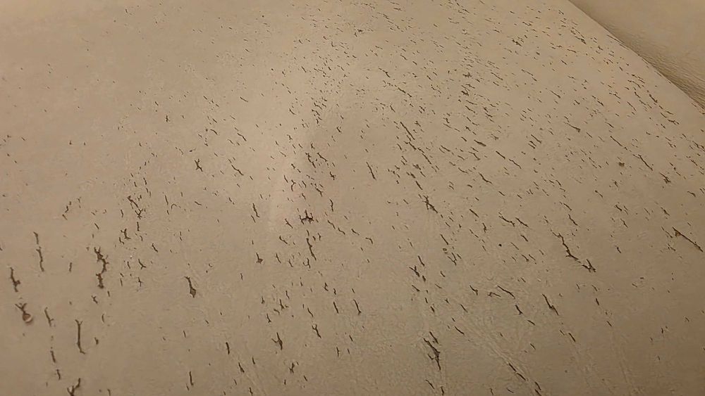 Canapea fixa piele naturala