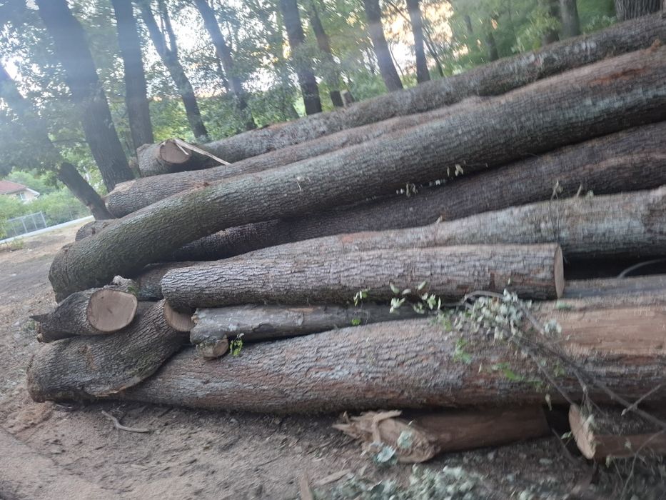 Lemne de foc esență tare. Dăm și în cantități mai mici.