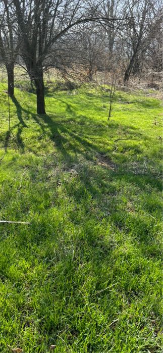 Продава се Парцел в с. Богомилово, Област Стара Загора - 1878 кв.м за 19 €/кв.м - Снимка #12