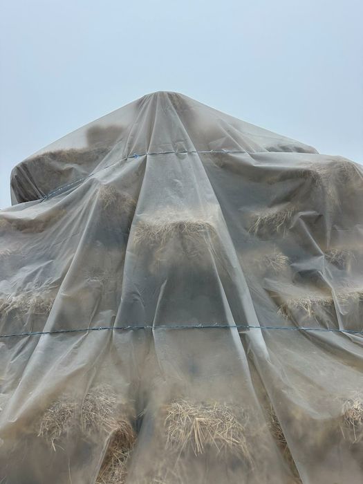 Vand baloti lucerna și fân