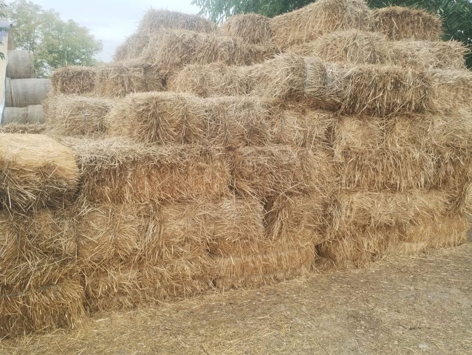 Vând/ schimb  cu diverse