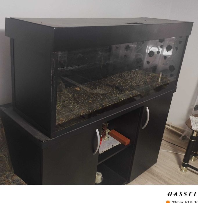 Pachet Acvariu 270L