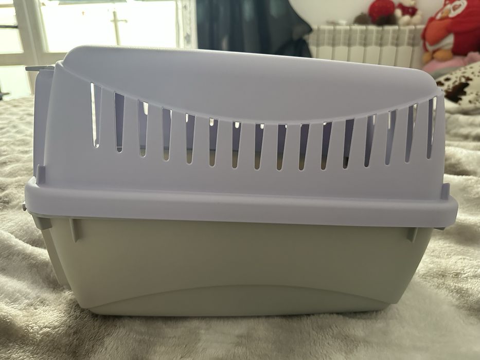 Cusca pisica, un sac de asternut paleti si doua de nisip