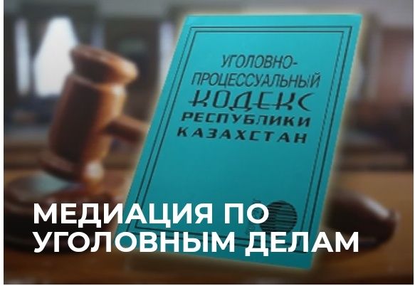 Профессиональный медиатор