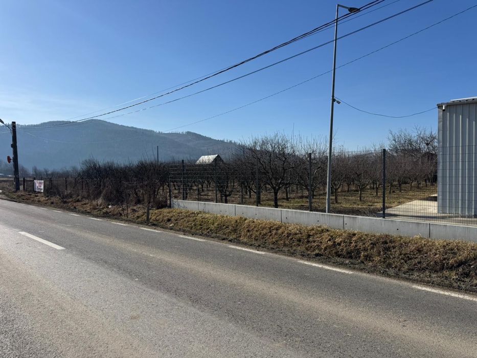 Vand 4600 mp Teren langa Trutzi