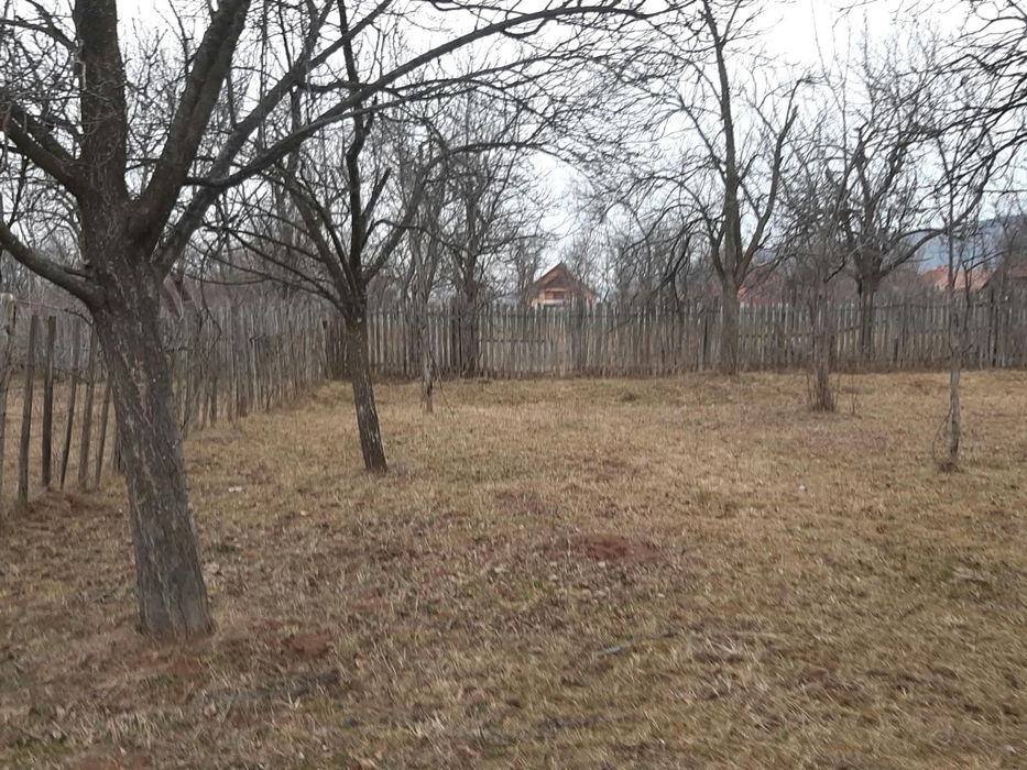 Teren extravilan