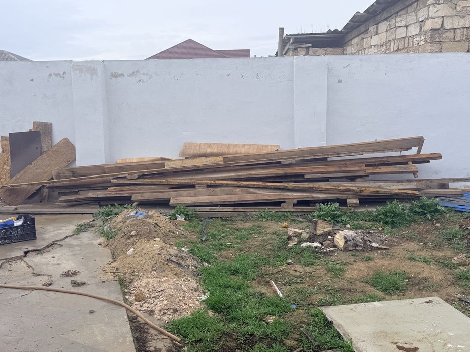 Кругляк. Жаксы агаштар