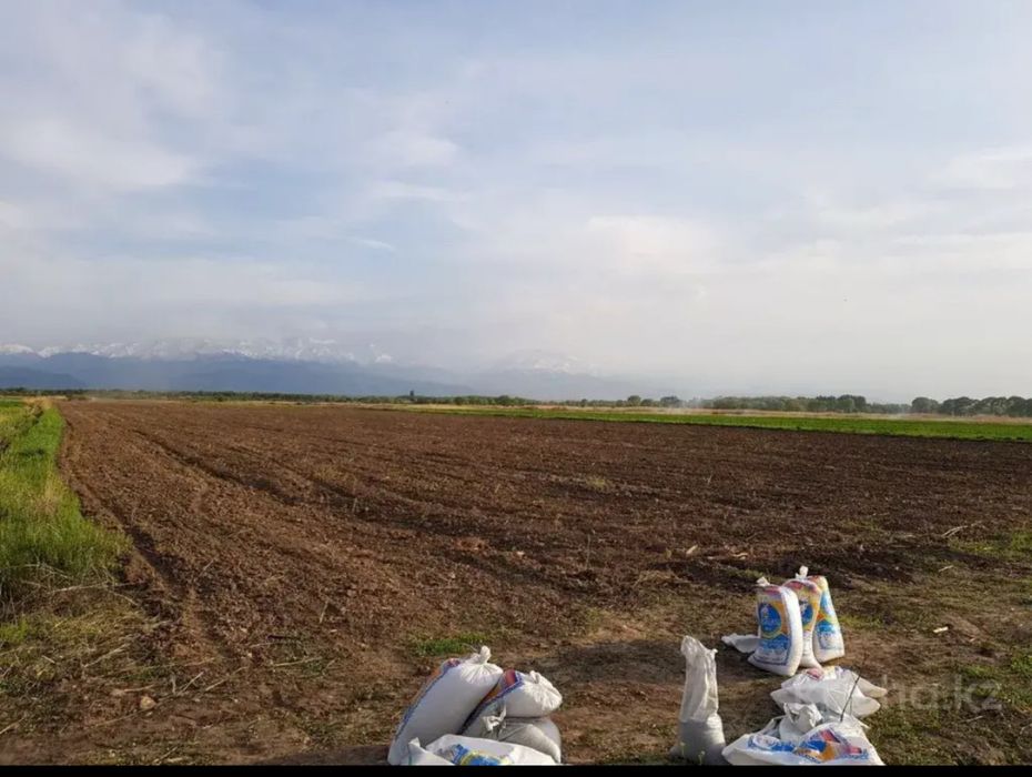 Земельные участки вдоль бетонки